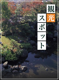 観光スポット