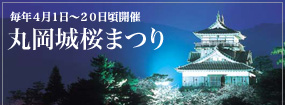丸岡城桜まつり